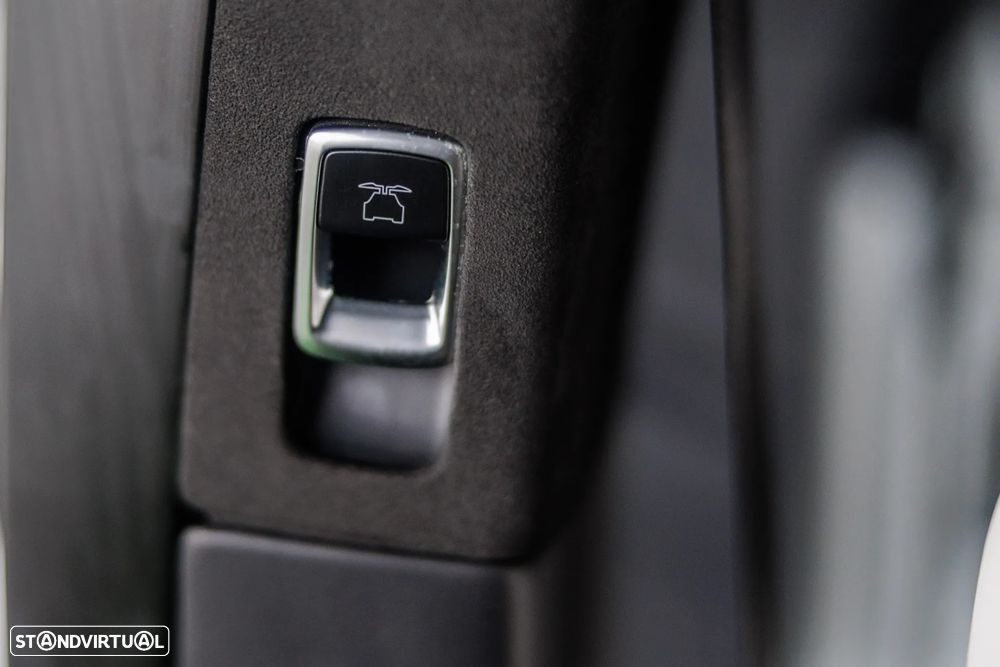 Tesla Model X P100D - 22