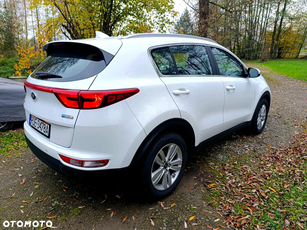 Kia Sportage - 8