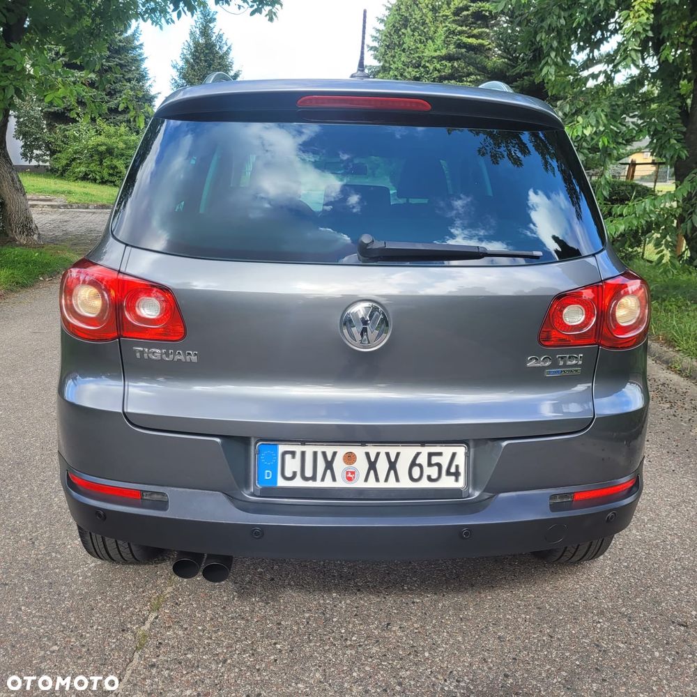 Volkswagen Tiguan - 10