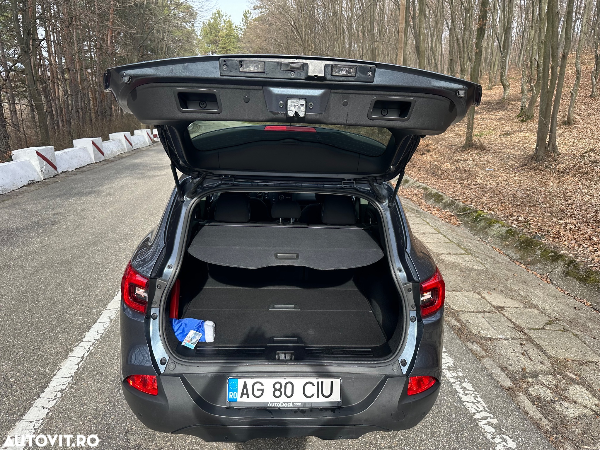 Renault Kadjar Energy dCi 110 EDC Business - 9
