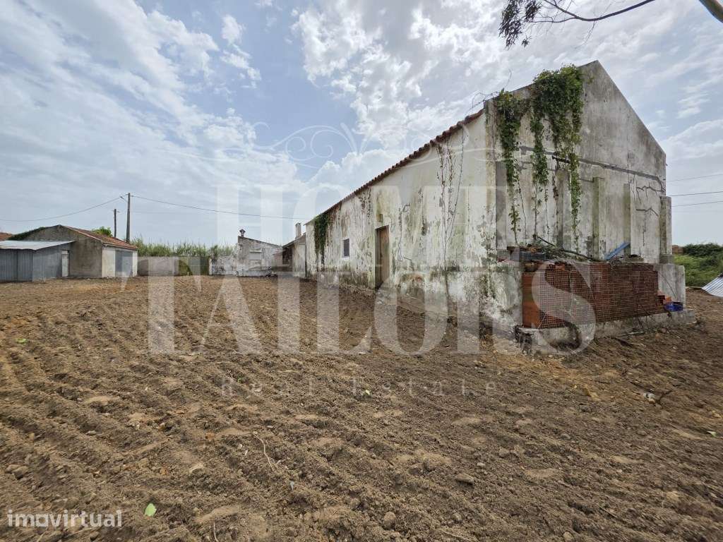 Terreno 1840 m2 com Habitação para recuperar - Grande imagem: 4/13