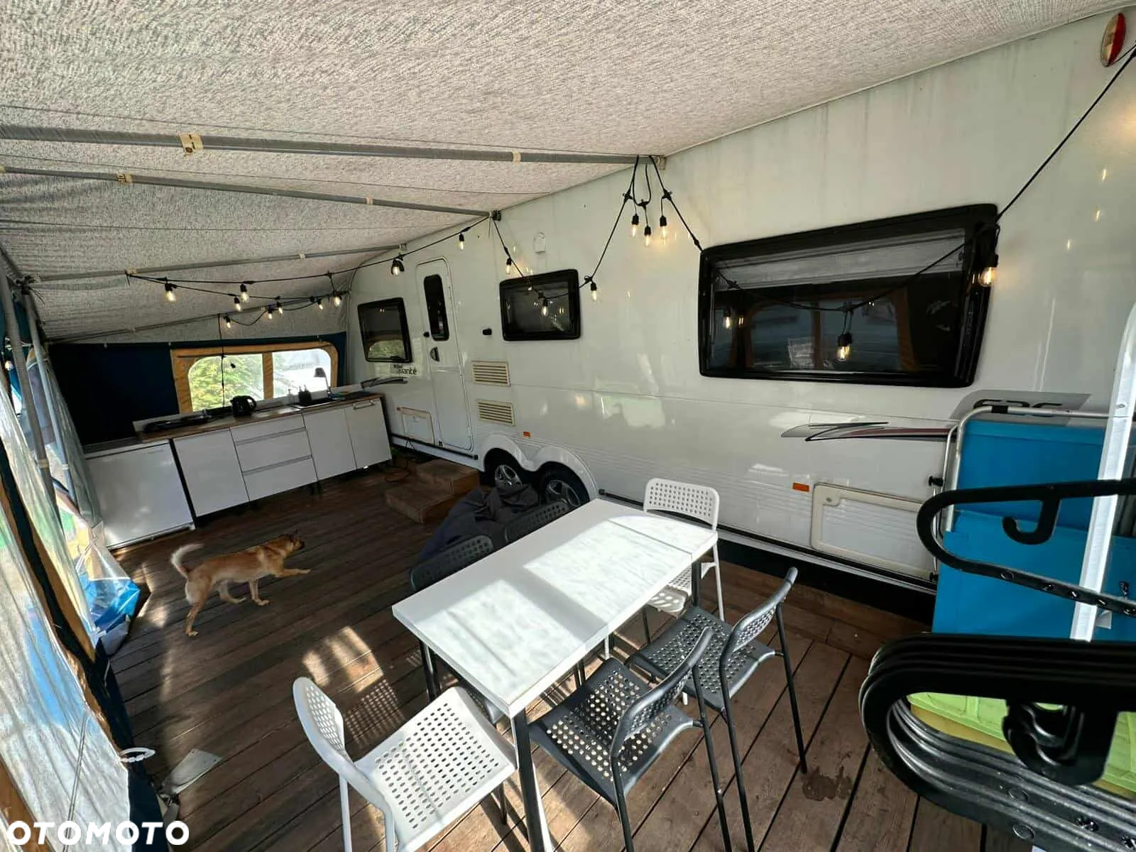 Elddis Avante - 35