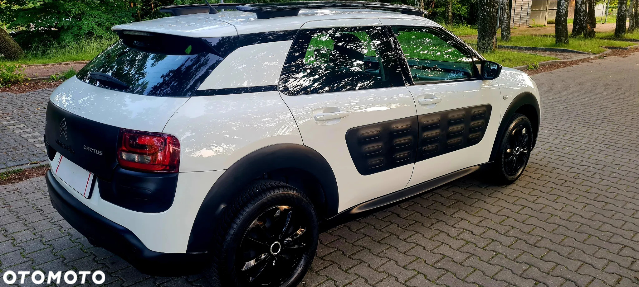 Citroën C4 Cactus 1.2 PureTech GPF Shine Pack S&S - 11