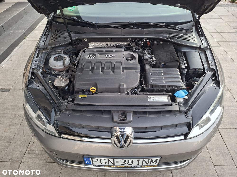 Volkswagen Golf - 12