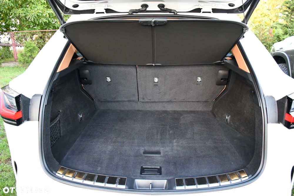 Lexus NX - 39