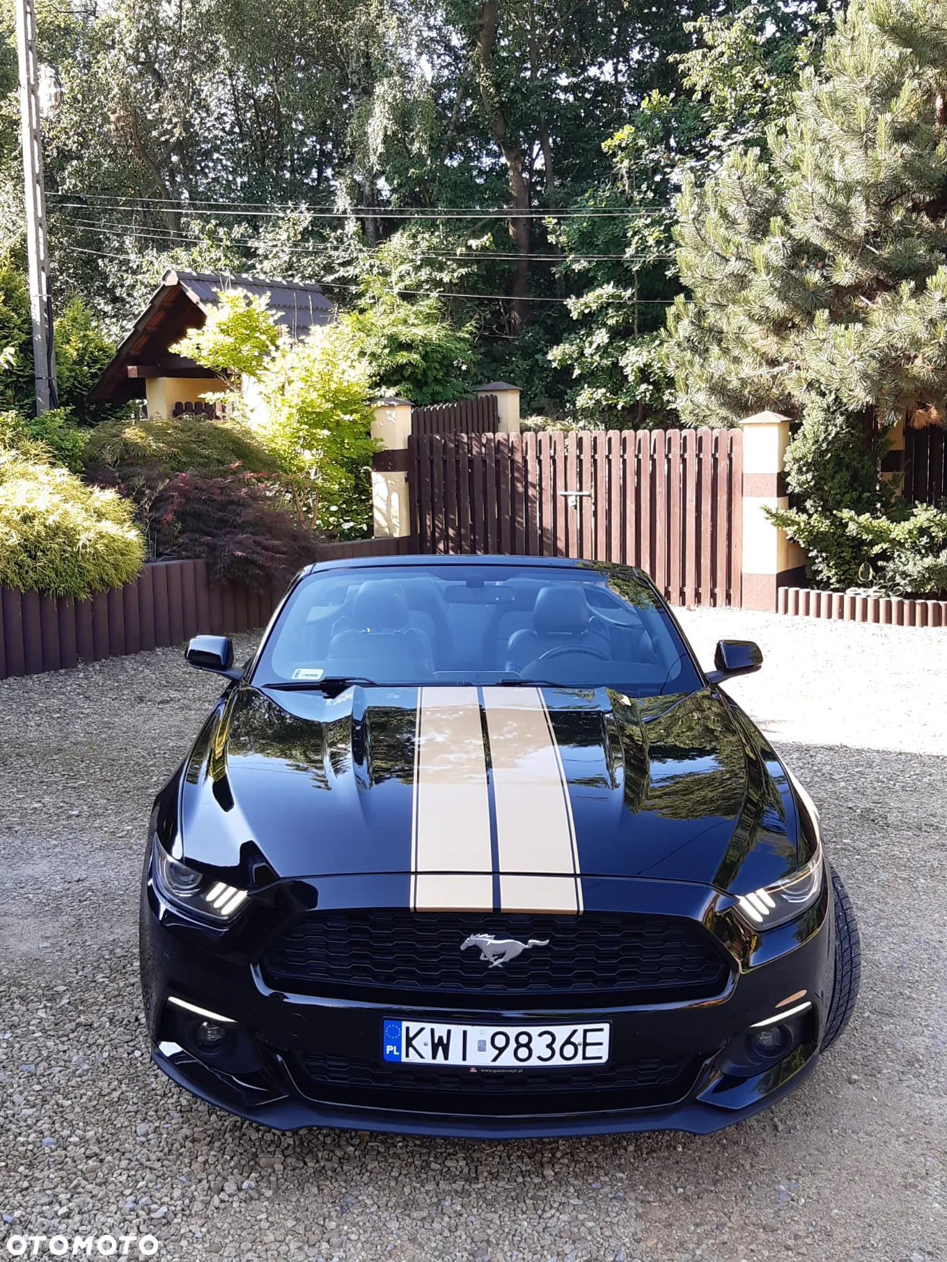 Ford Mustang Cabrio 2.3 Eco Boost - 16