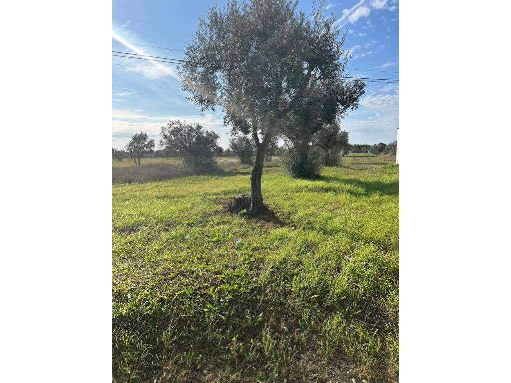 Lote de Terreno para construção - Grande imagem: 4/9