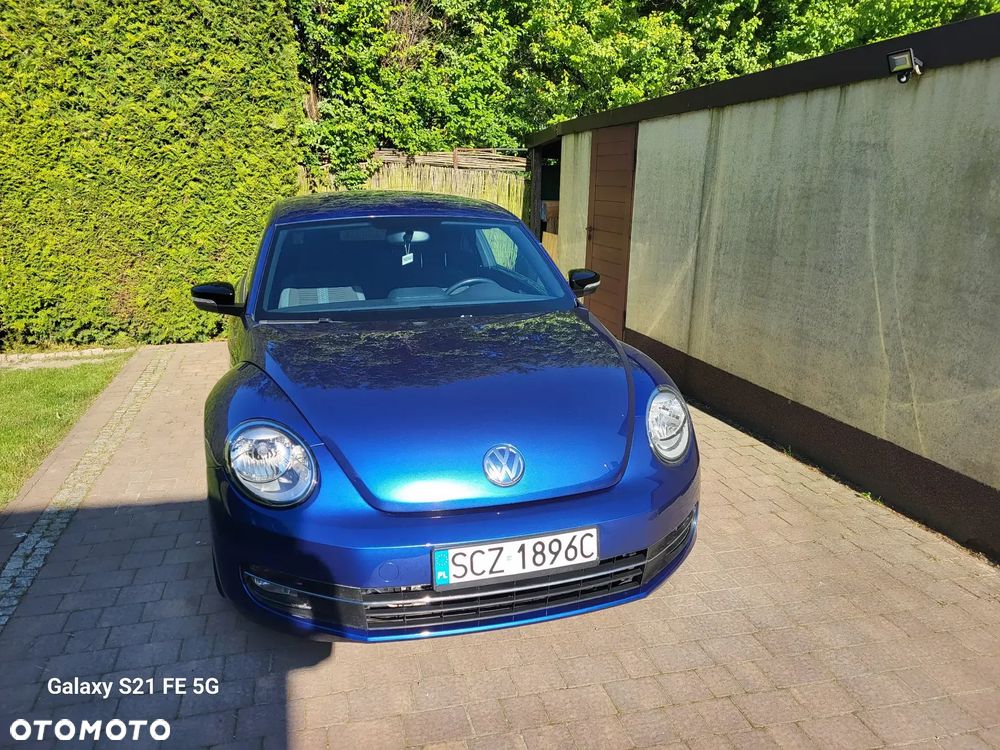 Volkswagen Beetle - 10
