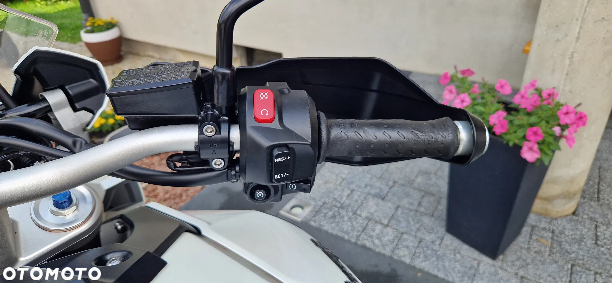 Triumph Tiger - 12