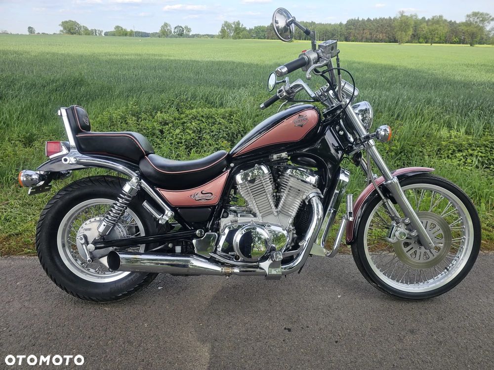 Suzuki Intruder - 1
