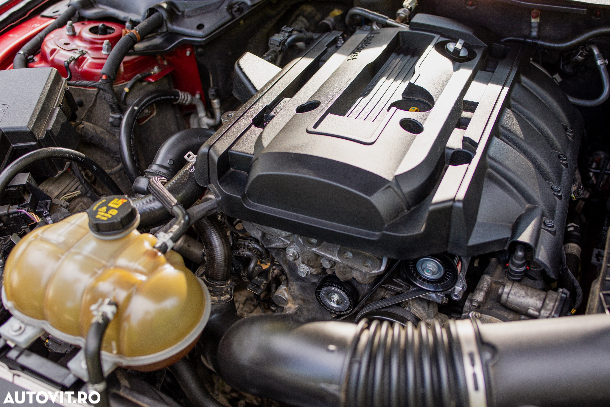 Ford Mustang 2.3 EcoBoost Aut. - 18