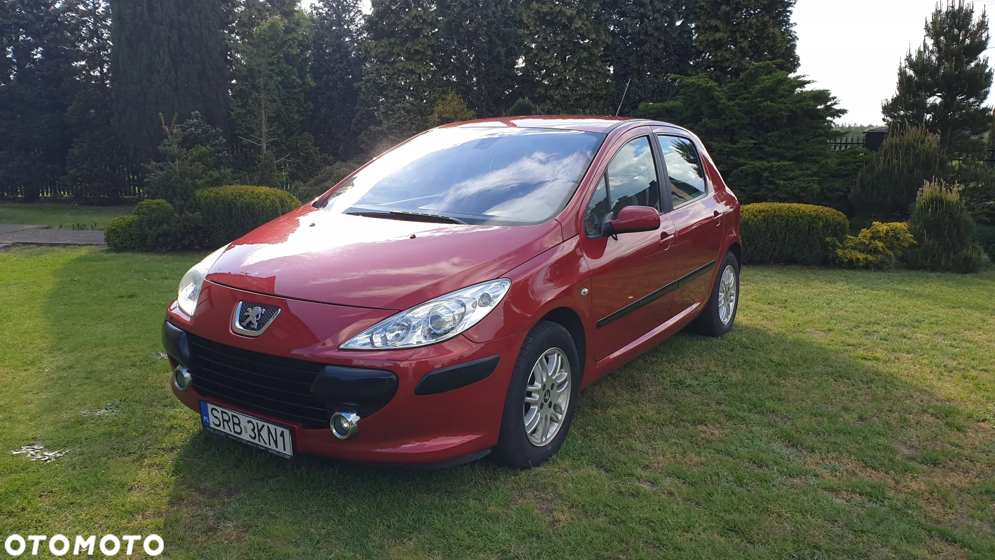 Peugeot 307 110 Premium - 2