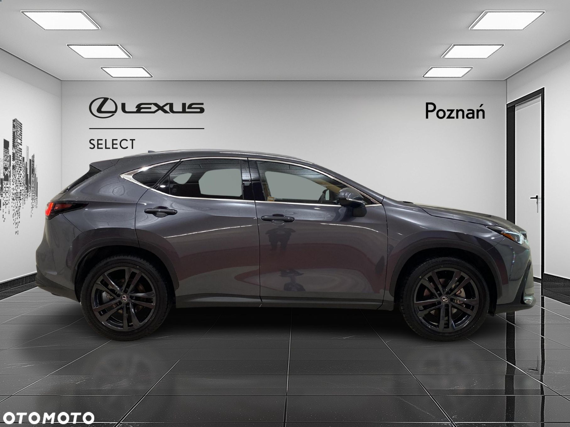 Lexus NX - 6