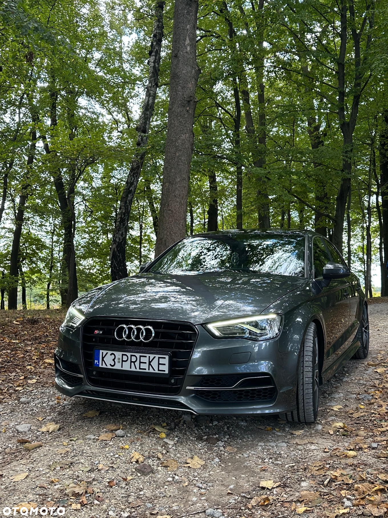 Audi S3 2.0 TFSI Quattro S tronic - 5