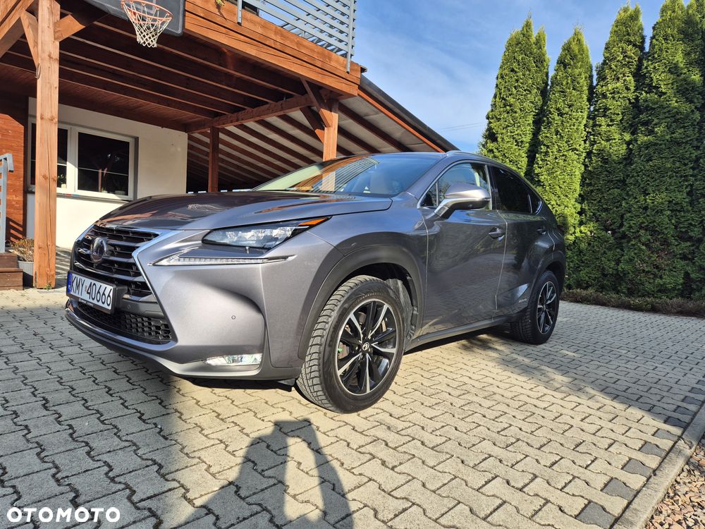 Lexus NX 300h Prestige AWD - 3