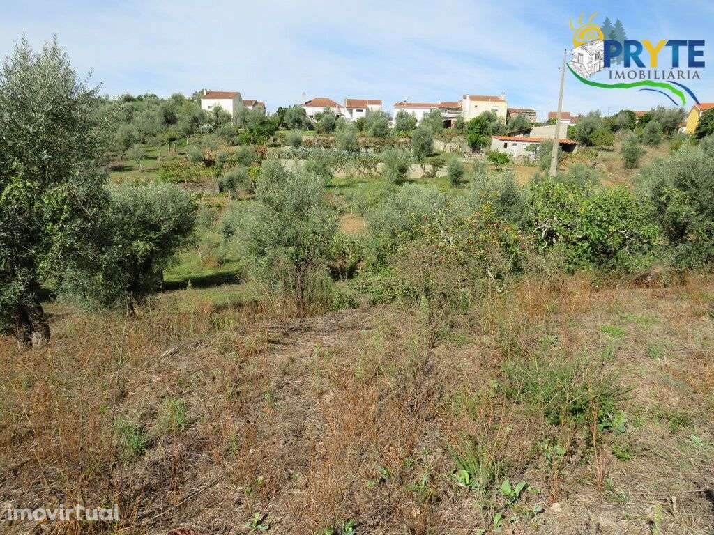 Terreno para construção com área de 2750 m2 perto da Sertã - Grande imagem: 2/9