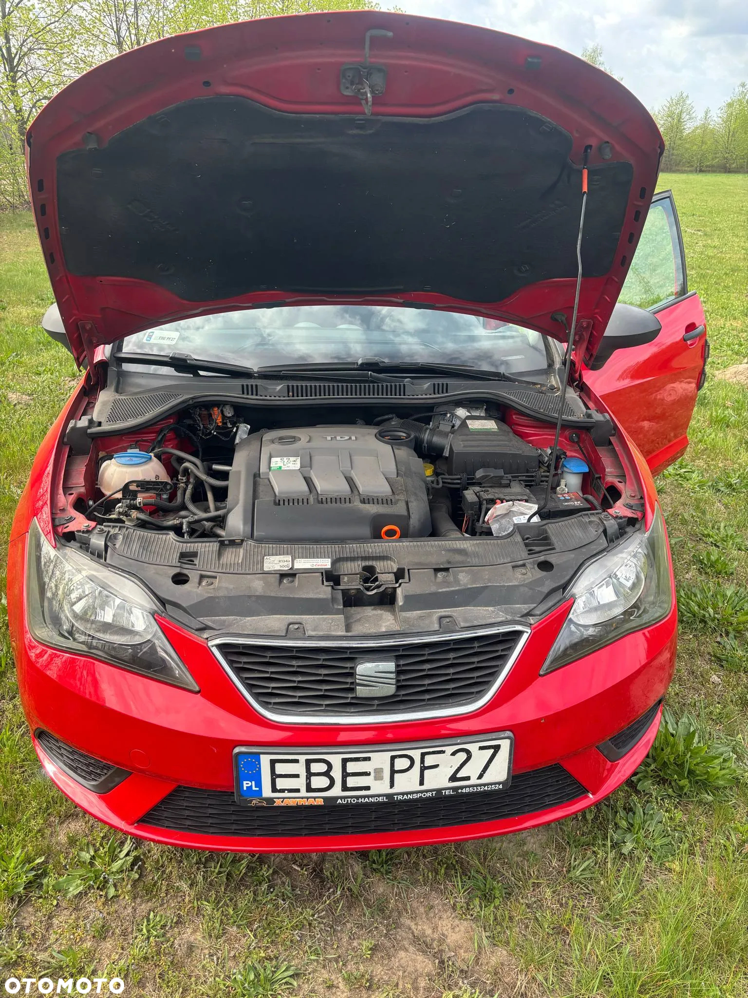 Seat Ibiza - 5