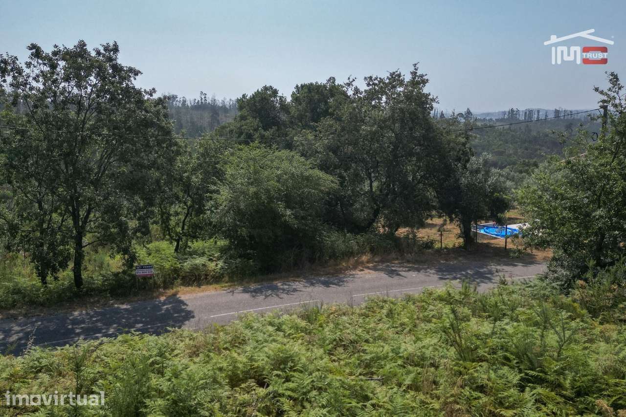 Terreno com 18.600 m2 no Olival - Grande imagem: 2/15