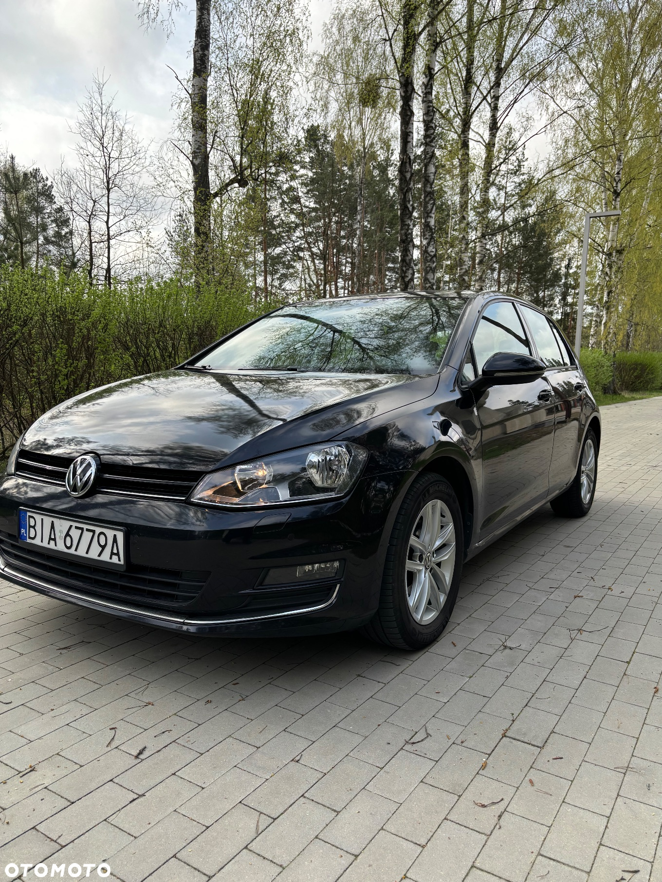 Volkswagen Golf VII 1.6 TDI BMT Comfortline - 2