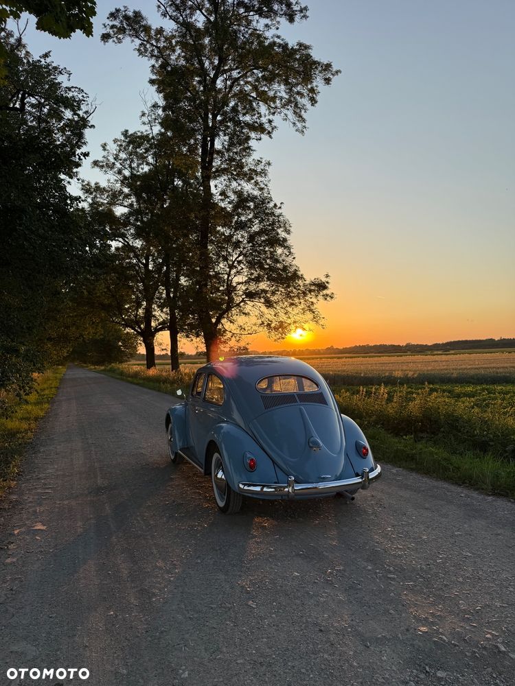 Volkswagen Garbus - 13