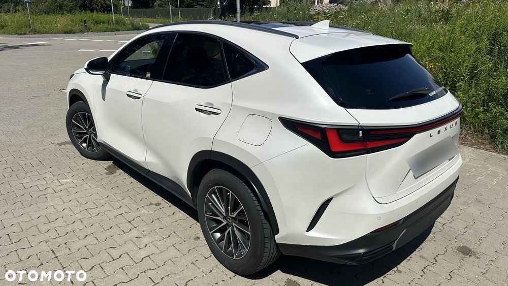 Lexus NX 350h Prestige AWD - 7