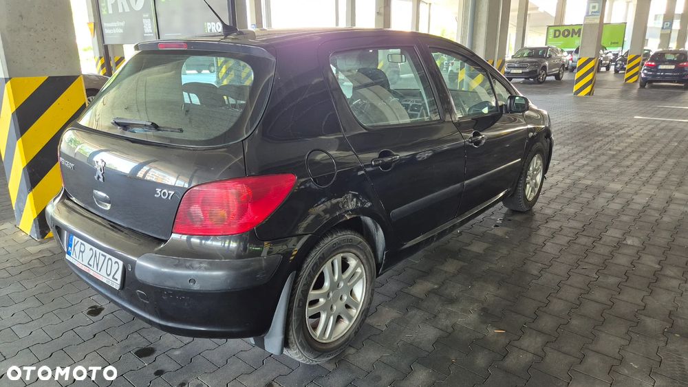 Peugeot 307 1.6 Mistral - 6