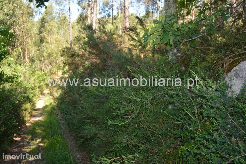 Terreno - Caires - Grande imagem: 5/5