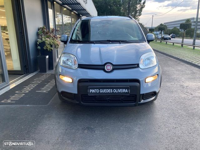 Fiat Panda - 2