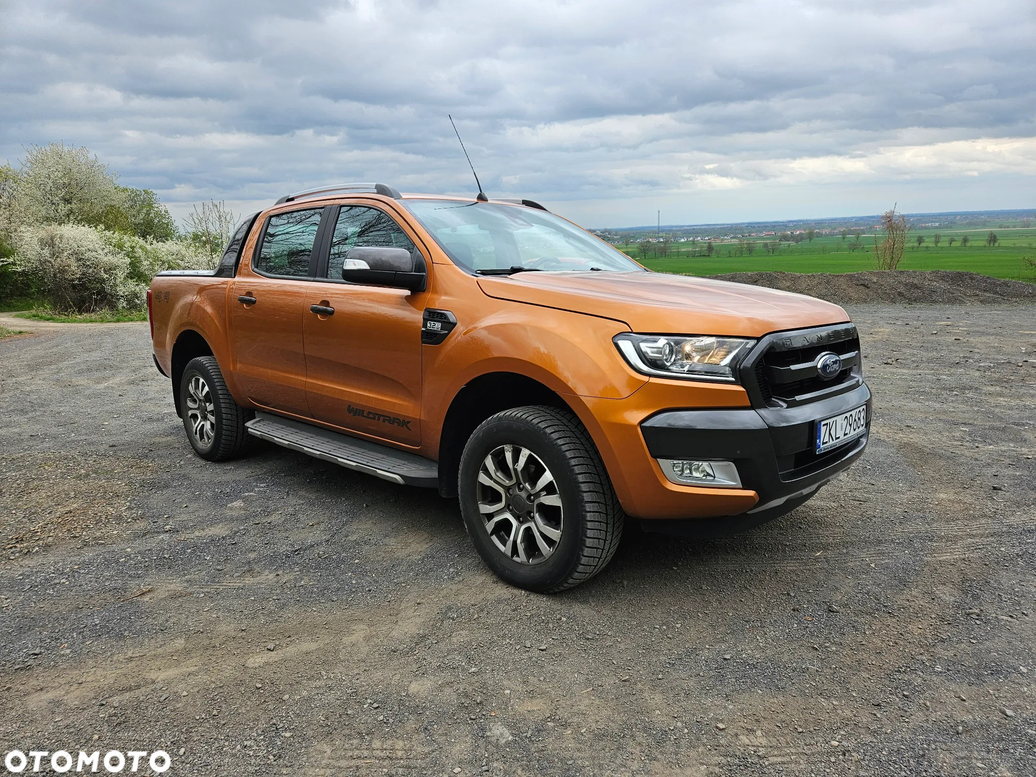 Ford Ranger 3.2 TDCi 4x4 DC Wildtrak EU6 - 18