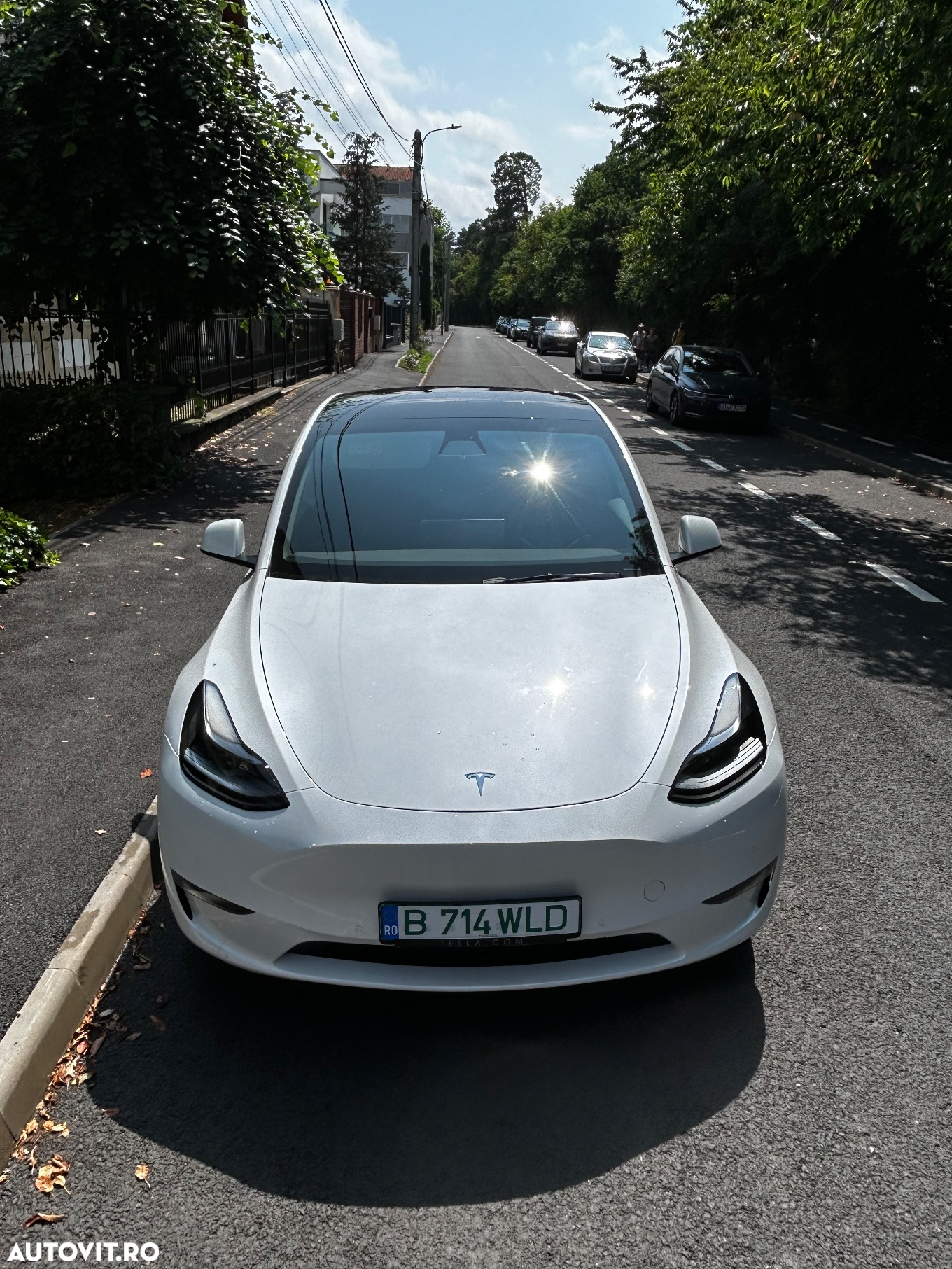 Tesla Model Y Long Range Dual Motor AWD - 4