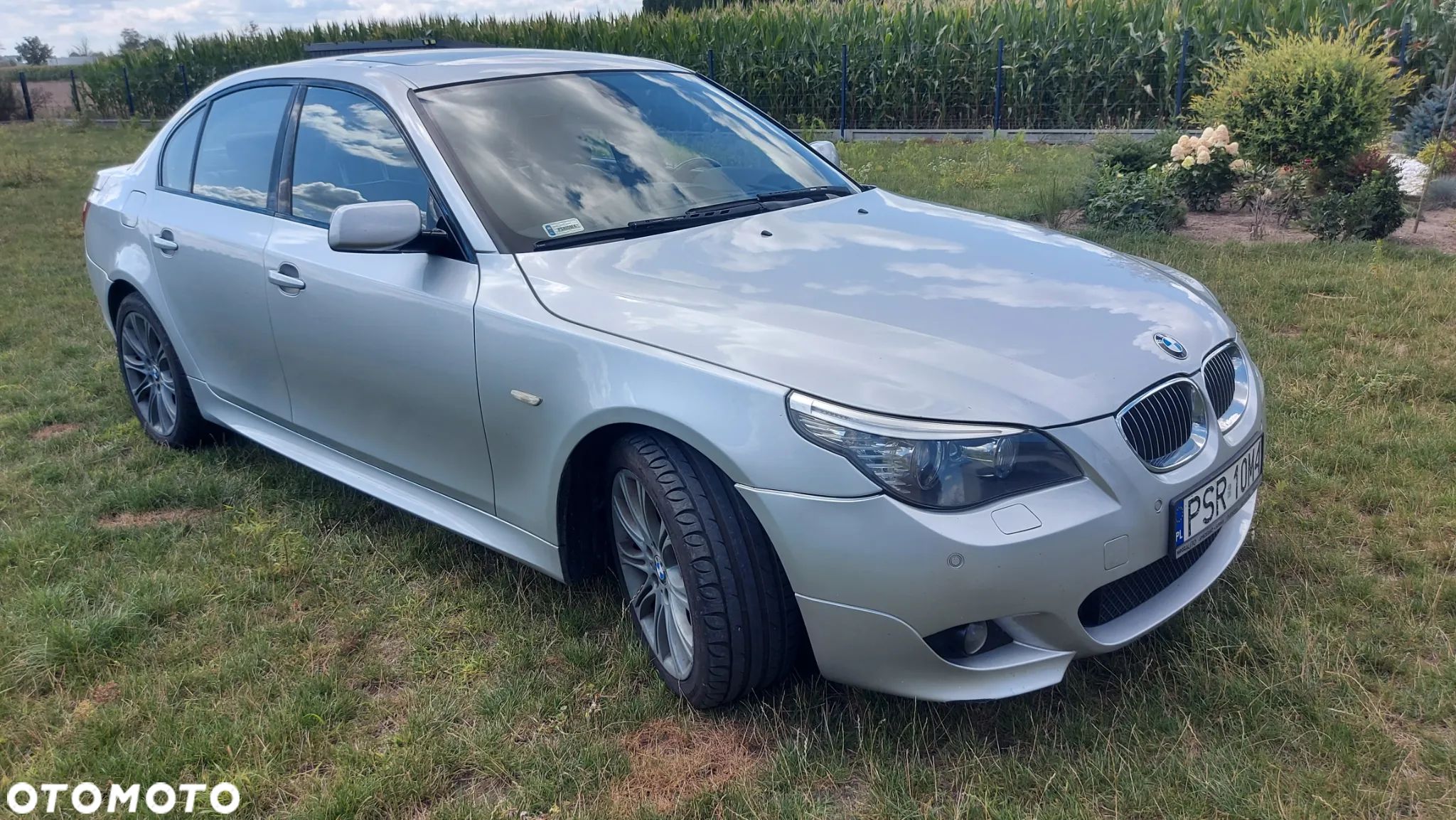 BMW Seria 5 - 1
