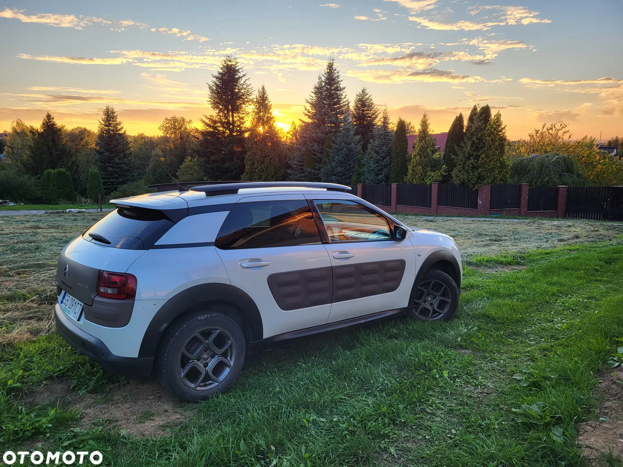 Citroën C4 Cactus - 5
