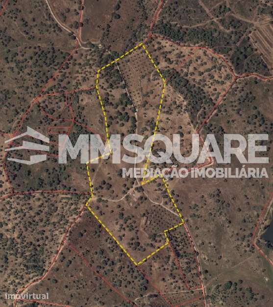 Monte do Chaparral — Ourique - Grande imagem: 2/36