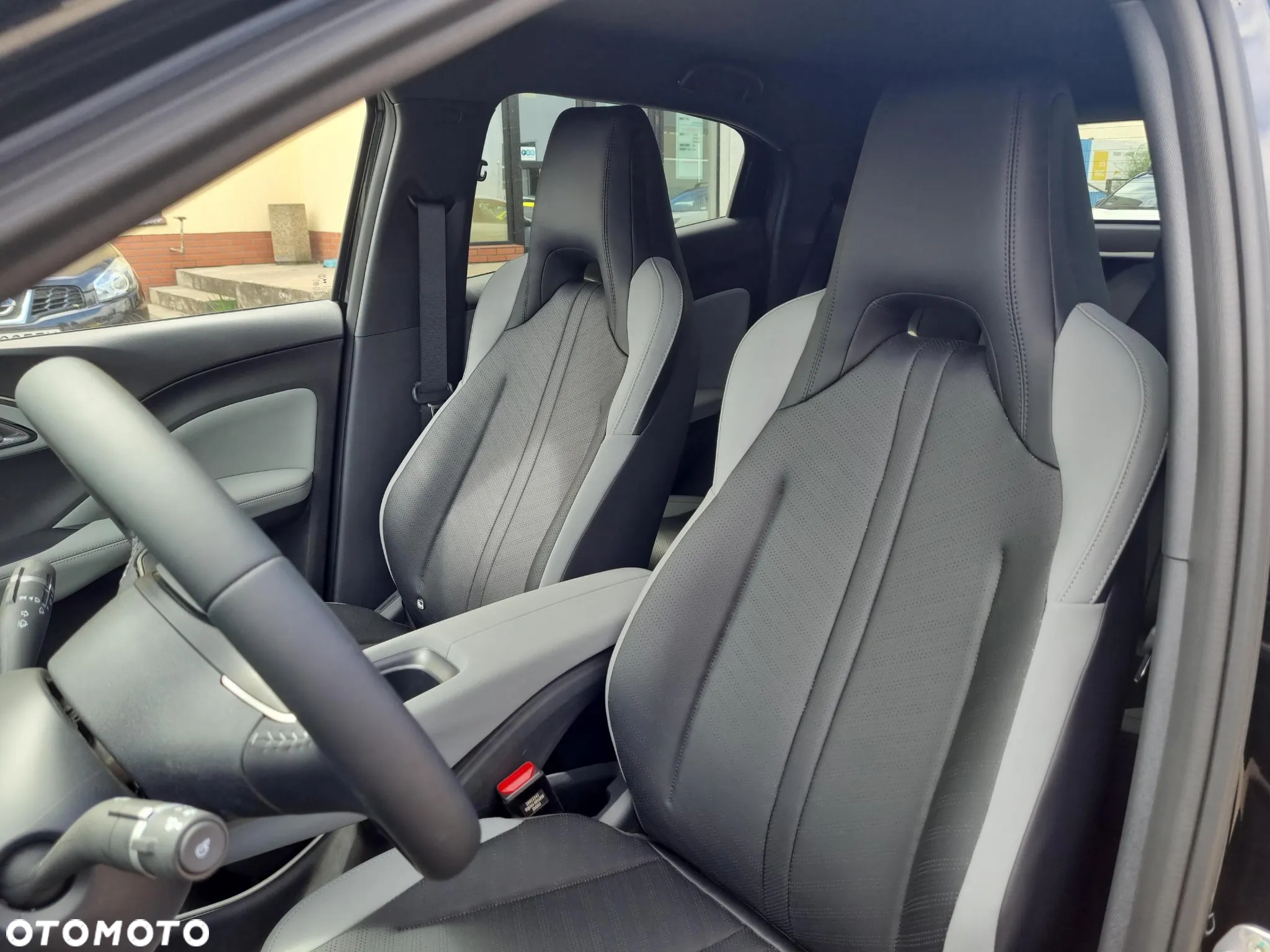 BYD Dolphin Surf - 11