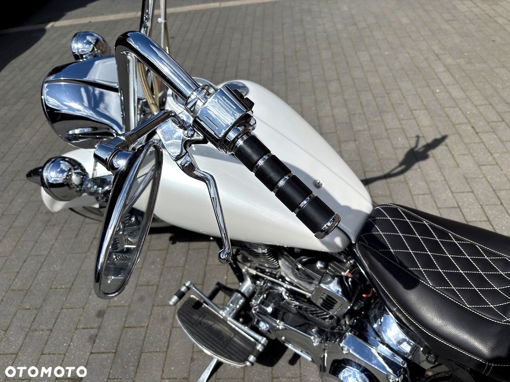 Indian Chief - 10