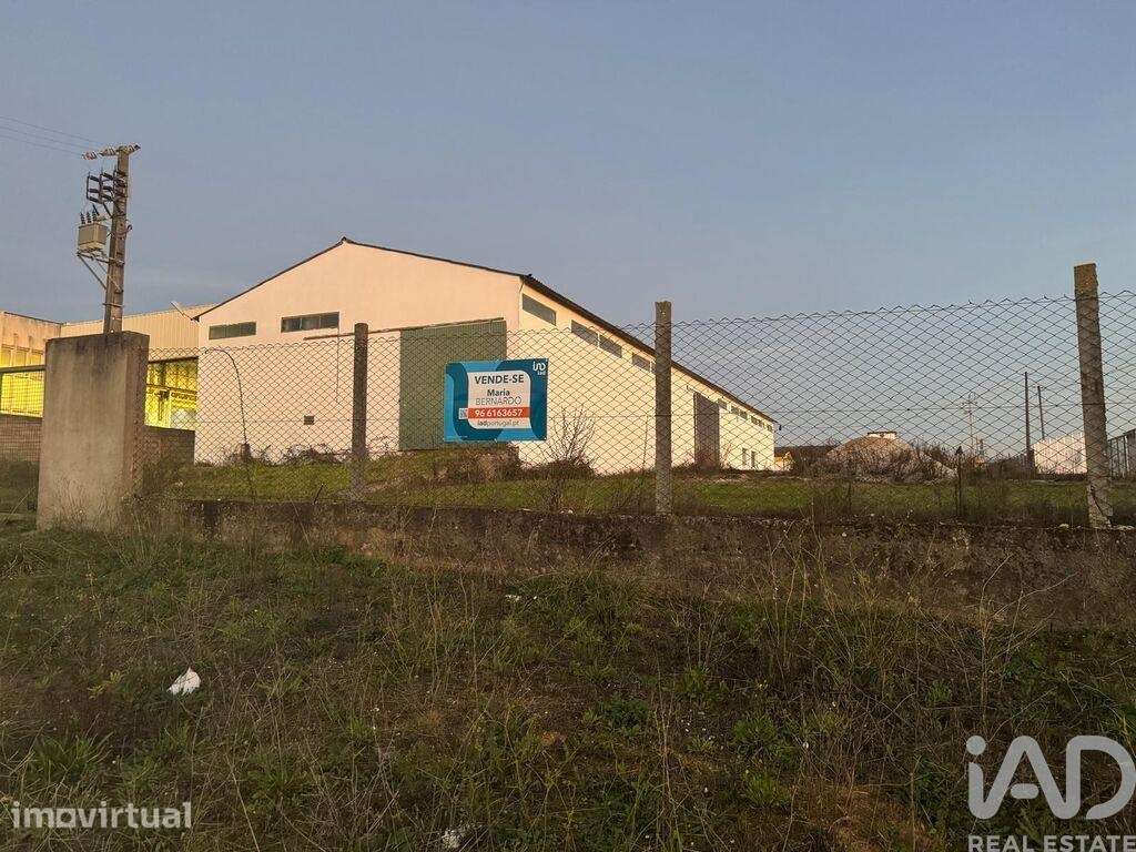 Loja / Estabelecimento Comercial em Madalena e Beselga de 667,00 m2 - Grande imagem: 4/23