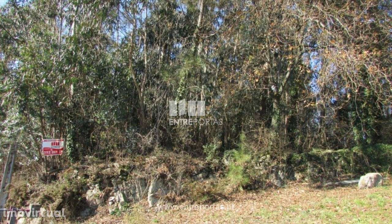 Venda de Terreno, Rio Mau, Vila do Conde - Grande imagem: 3/9