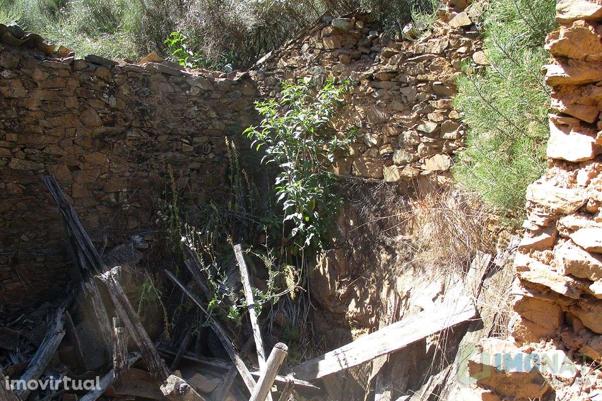 Imóvel Rural - Grande imagem: 3/19