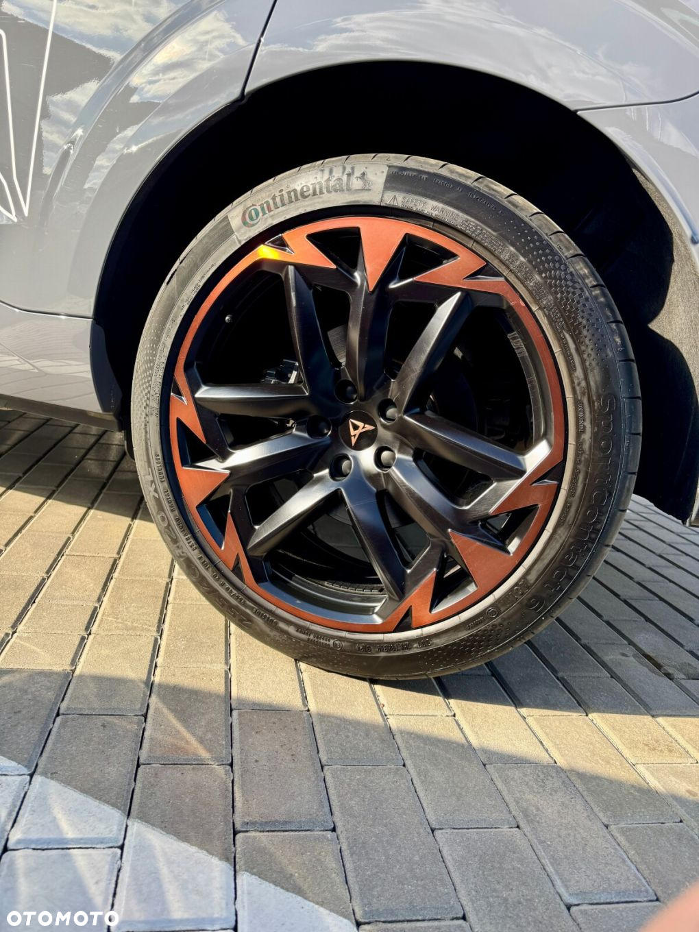 Cupra Terramar 2.0 TSI 4Drive VZ DSG - 32