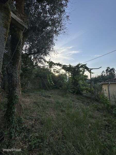 Casa c/ terreno - Grande imagem: 4/6