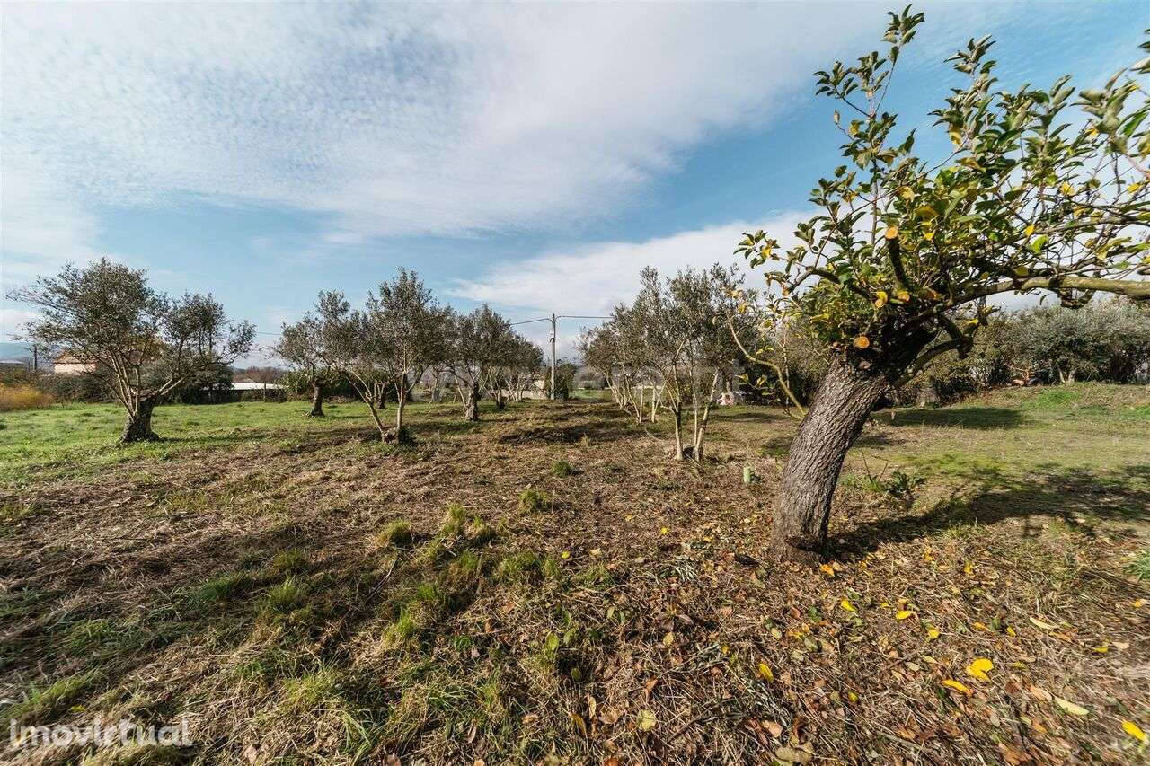 Terreno Rústico / Fundão, Alcaria - Grande imagem: 5/5