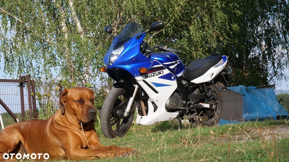 Suzuki GS - 8