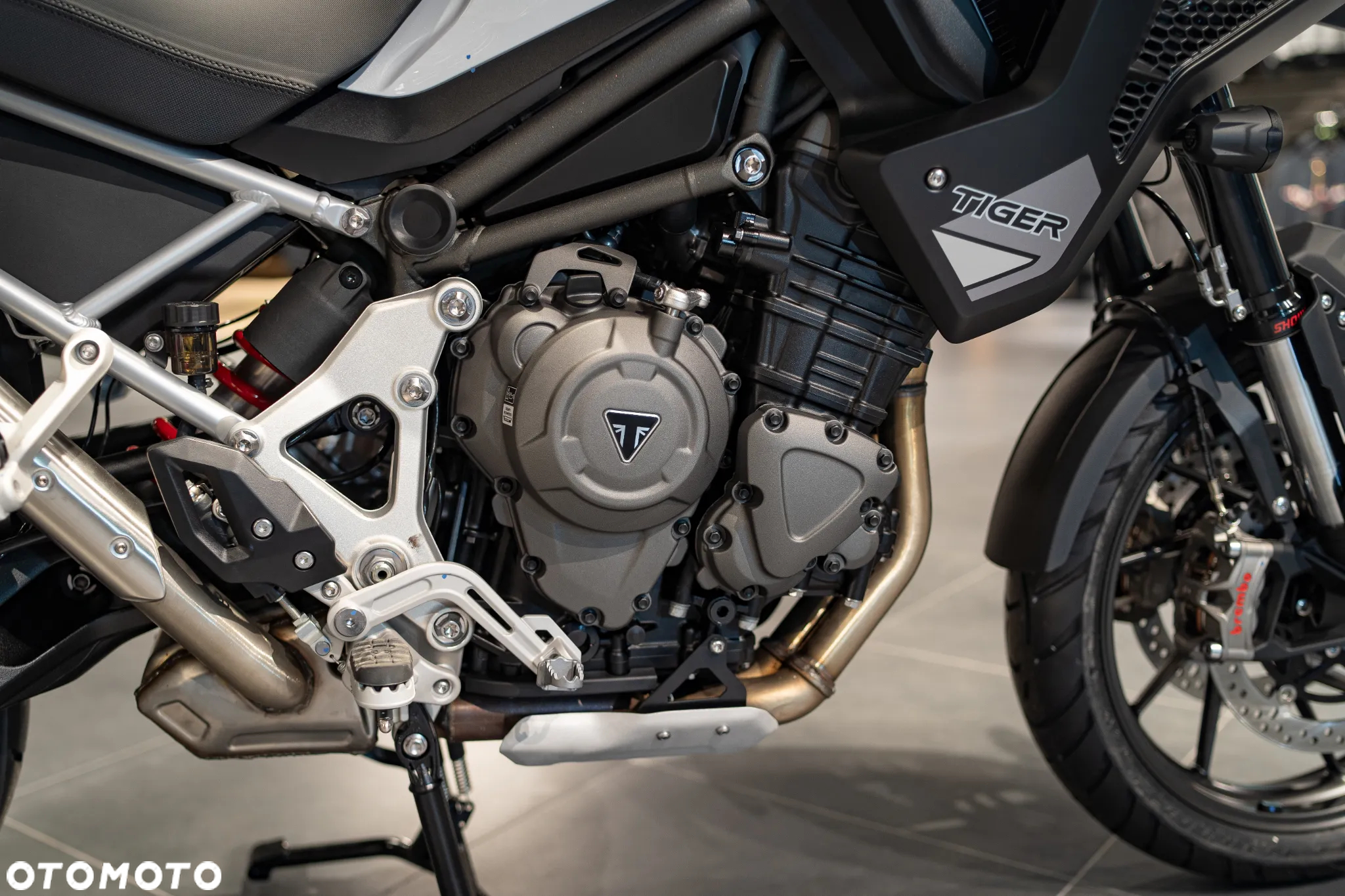 Triumph Tiger - 28