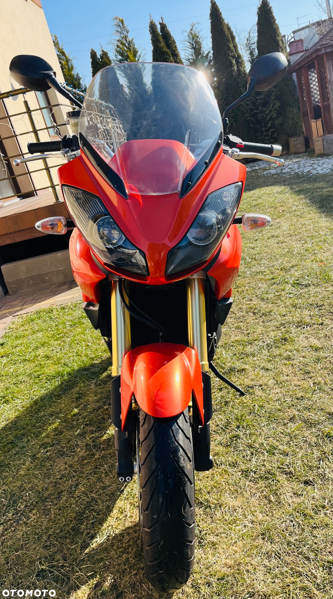 Triumph Tiger - 5