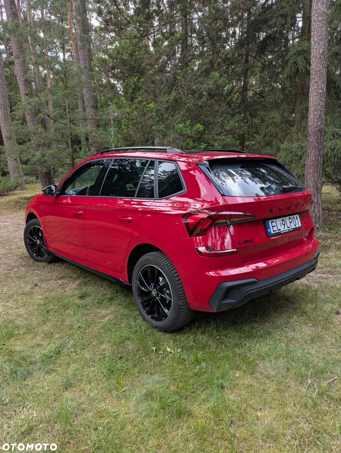 Skoda Kamiq 1.0 TSI Monte Carlo DSG - 9