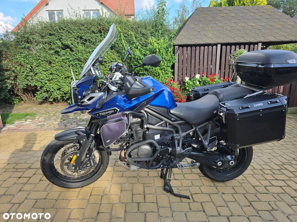 Triumph Tiger - 5