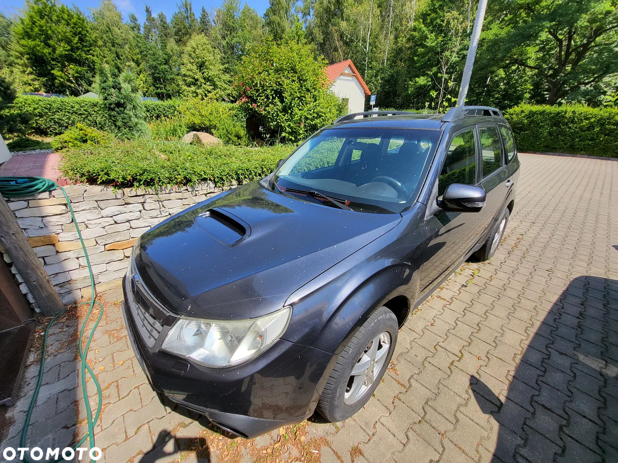 Subaru Forester - 1