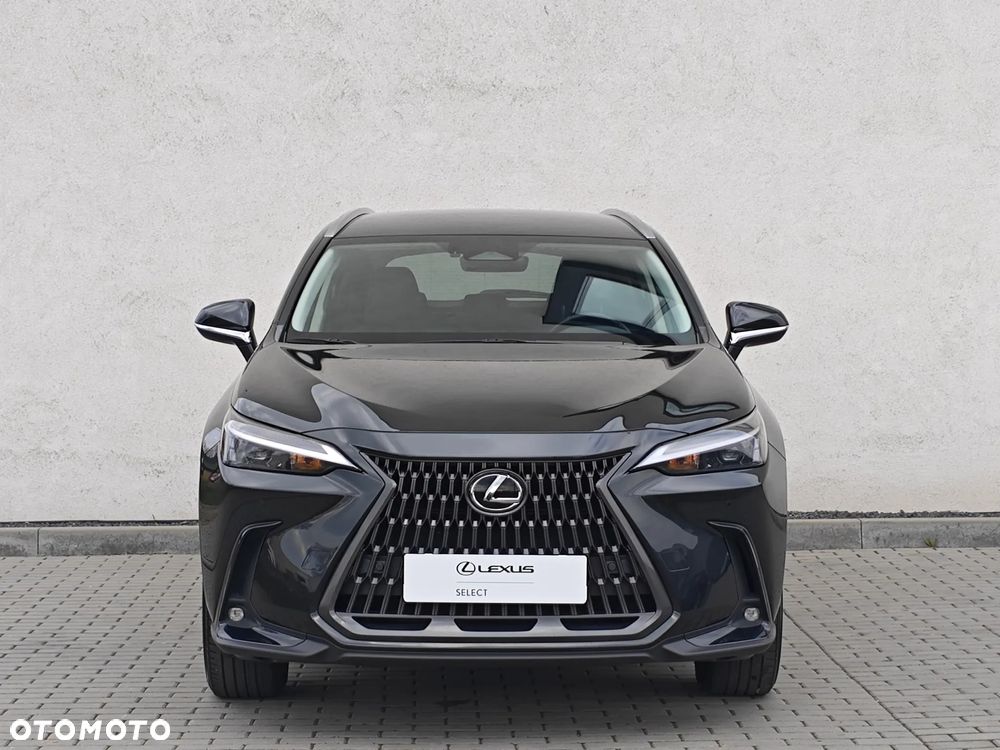 Lexus NX 350h Prestige AWD - 7