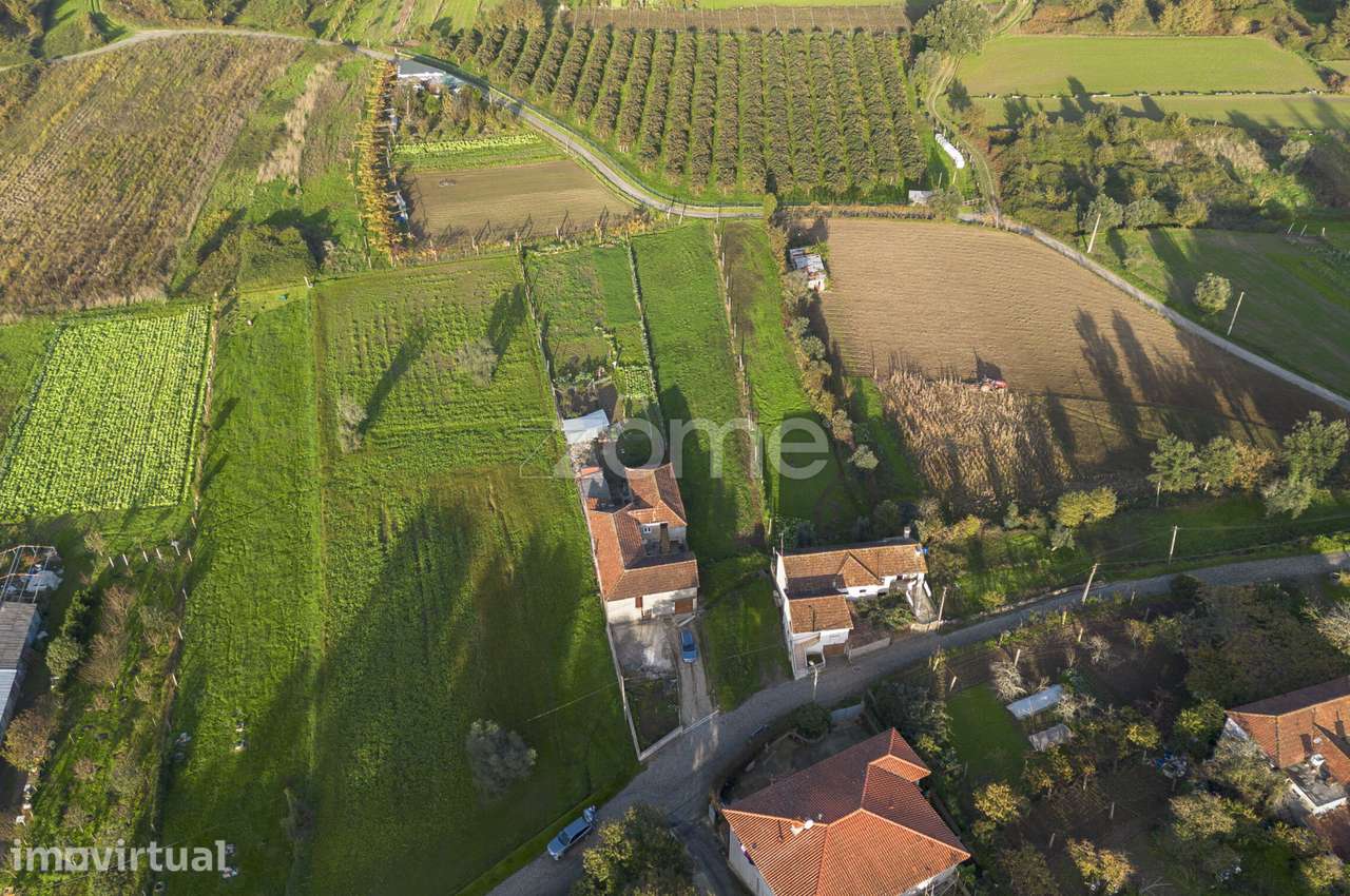 Terreno p/ construção + agrícola c/ 1.444 m² - Grande imagem: 5/15