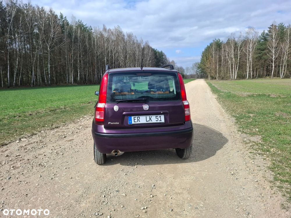 Fiat Panda 1.2 Active - 11